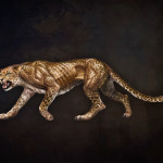concept32